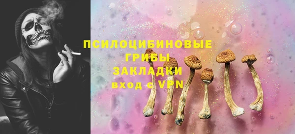 apvp Бронницы