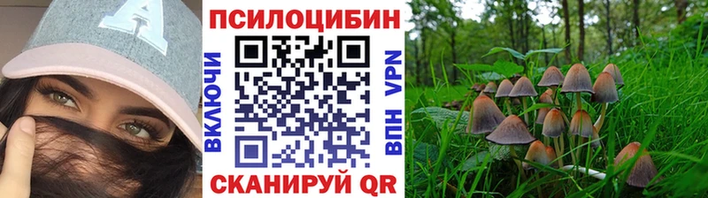 Галлюциногенные грибы прущие грибы  ОМГ ОМГ как зайти  мориарти телеграм  Заринск 