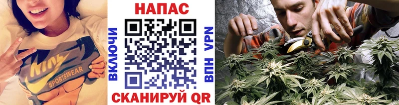 как найти закладки  Заринск  Шишки марихуана семена 